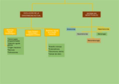 Solution Mapa Conceptual Aparato Reproductor Femenino Semiologia