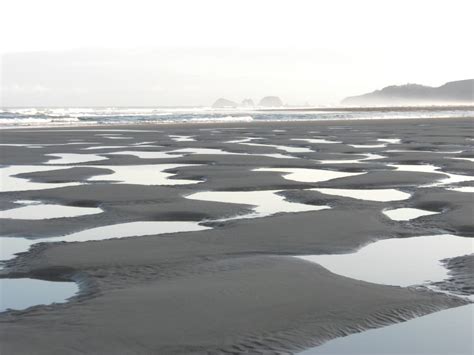 In 1954 cape lookout opened a small campground which grew quickly to nearly the size of today's campground by the end of the 1950s. Cape Lookout State Park Campground - Tillamook, Oregon Coast