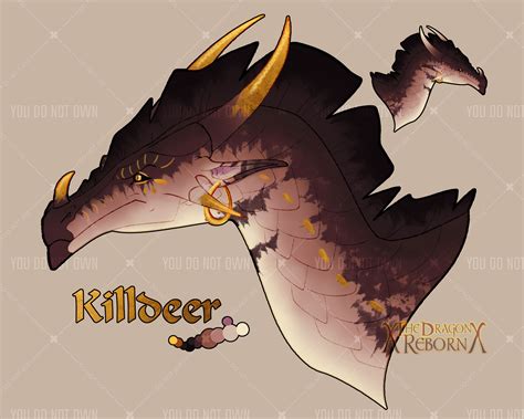 Killdeer the SandWing/NightWing Hybrid by xTheDragonRebornx on DeviantArt