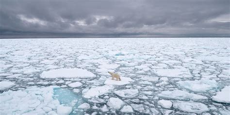 Climate Change The Arctic Ocean Sea Ice Has Yet To Start Refreezing