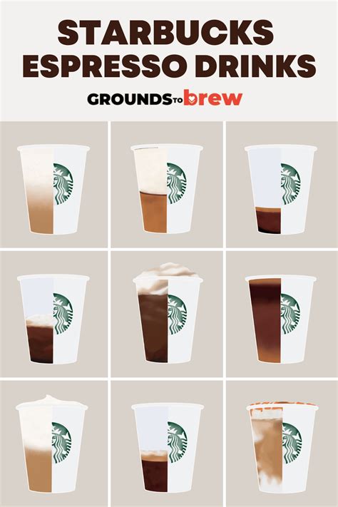 Espresso Drinks At Starbucks Every Type Explained Grounds To Brew