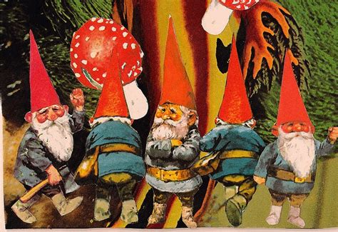 Gnomes Gnomes Fairies Elves Gnomes Book