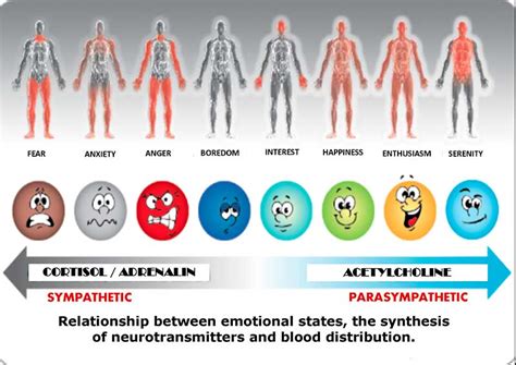 this is what negative emotion does to your body the least you can do is to try to stay positive
