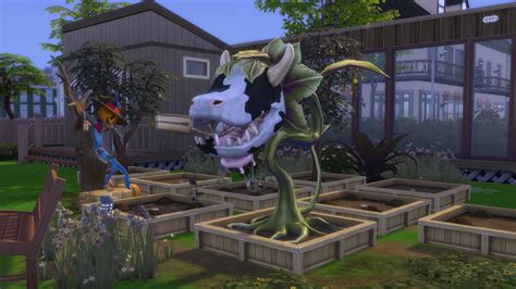 Como Conseguir A Planta Vaca No The Sims Vaca Importante