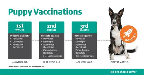 Free Printable Dog Vaccination Chart