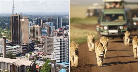 10 things you need to know before visiting kenya kenya safaris