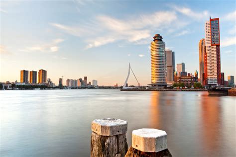 There are many things to do amid rotterdam's skyscrapers. Rotterdam: The city with a modern Skyline | Discover Holland