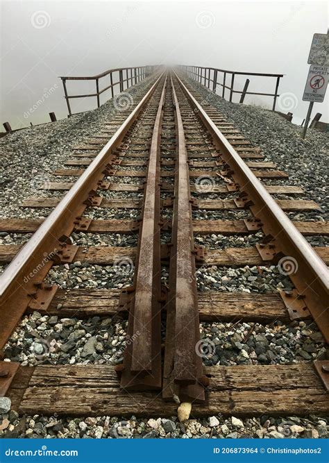Railroad Tracks Linear Perspective Stock Photo Image Of Tracks