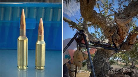 6mm Gt Is This The Newest Precision Ammo Niche
