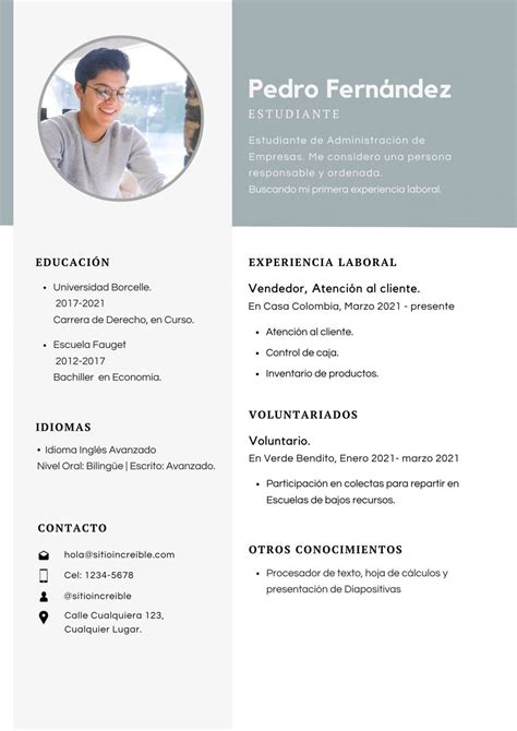 Modelo De Curriculum Vitae En Pdf Para Editar Modelo Vrogue Co