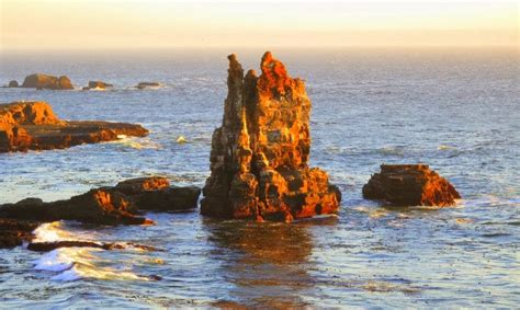 California Coastal National Monument Mendonoma Sightings