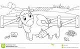 Cow Calf Feeding Cute Coloring Children Farm Royalty Illustration Vector sketch template