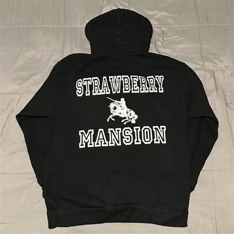 Unwanted Strawberry Mansion Hoodie Outgrew The Depop