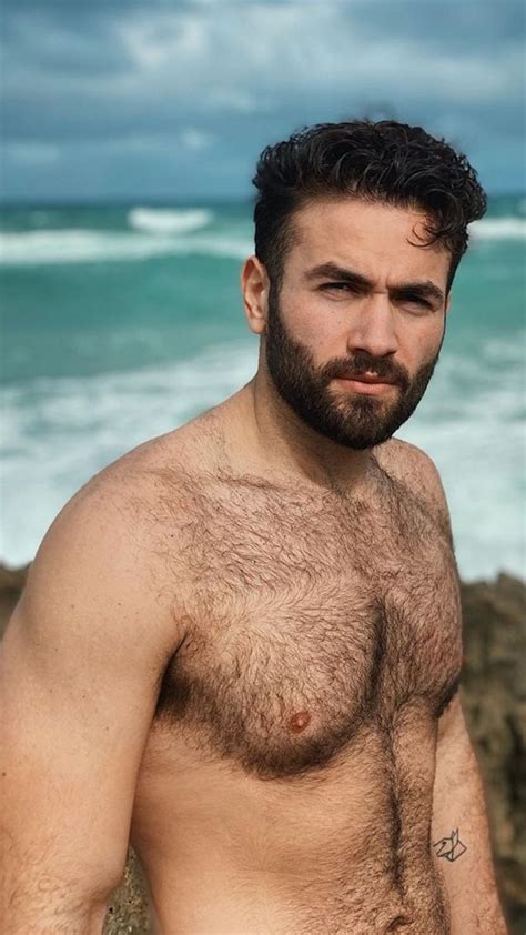 Bears Seaside Pinterestgagabowie