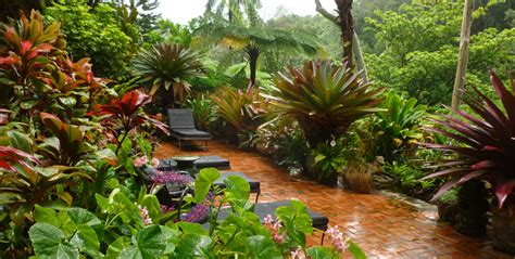At the other end of the scale are little container arrangements of miniature succulent gardens. Tropical Gardens of Hawaii with Graham Ross | Ross Garden ...