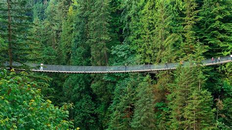 Capilano Suspension Bridge Vancouver British Columbia