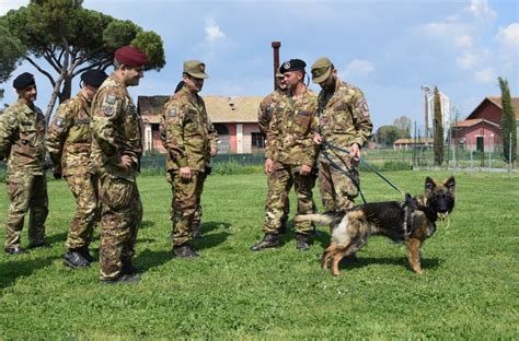 Il generale di corpo d'armata francesco paolo figliuolo (nuovo commissario per l'emergenza sanitaria in italia) è nato a potenza l'11 luglio 1961. Esercito, il comandante Logistico Generale Francesco Paolo ...