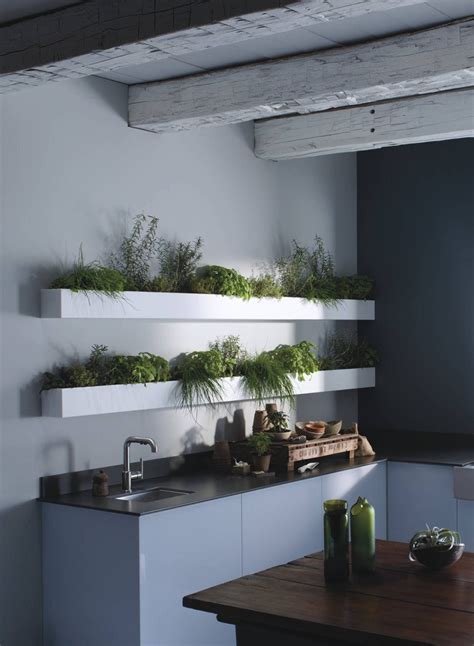 Biophilic Design The Many Uses Of Plants In Interiors · Anooi
