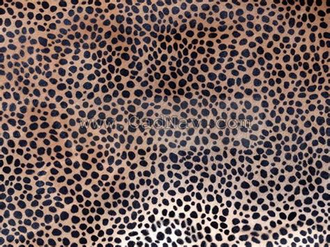 Sexy Leopard Texture Id363 Cadnav