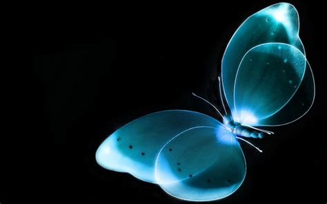 Browse millions of popular butterfly wallpapers and ringtones on zedge and personalize your phone to suit you. Black Butterfly Wallpapers (62+ background pictures)