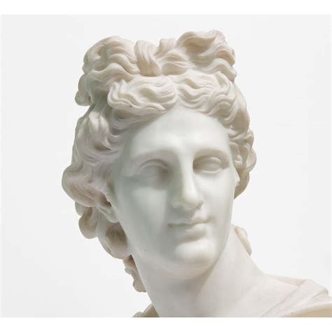 Large 19th Century Antique Marble Bust Of Apollo Of Belvedere Chairish