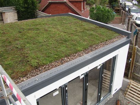 Green Living Roof Helps With Planning In Brighton Sussex Roofing Ltd
