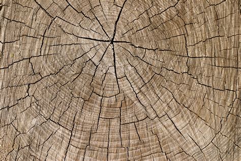 Free Natural Brown Wood Texture Texture Lt