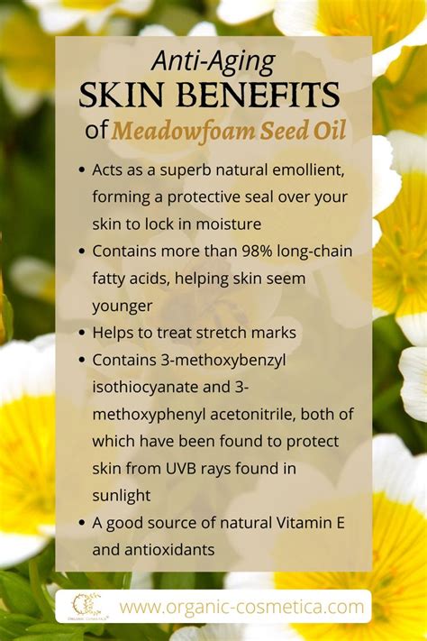 The Amazing Skin Health Benefits Of Meadowfoam Seed Oil In 2021 Body