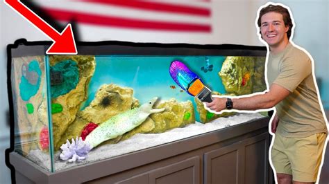 My Dream Aquarium Is Complete Whats Inside Youtube