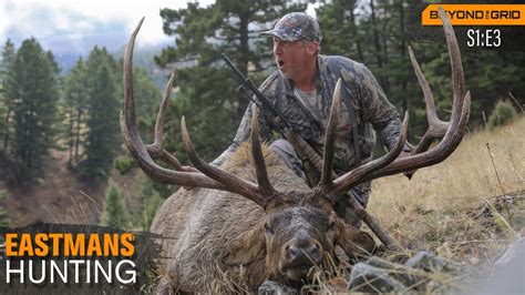 Giant Montana Bull Elk 374 Bandc Hunting Youtube