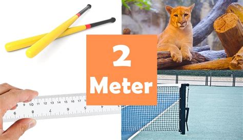 9 Things That Are About 2 Meters M Long
