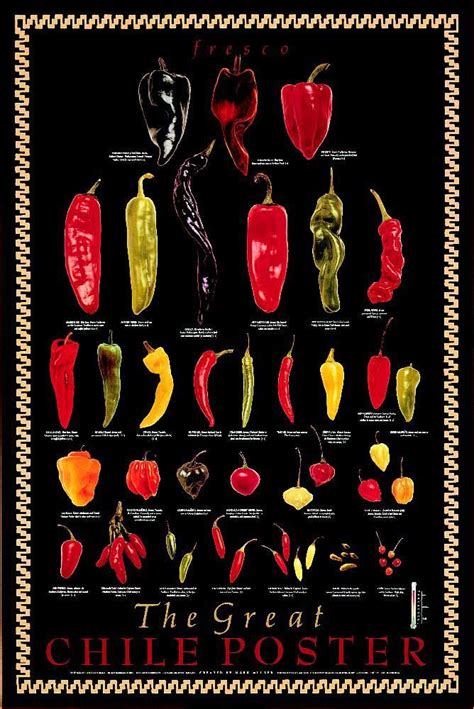 A Beginner S Guide To Mexican Dried Peppers Artofit