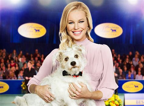 2019 American Rescue Dog Show: Hallmark Channel expands show to two