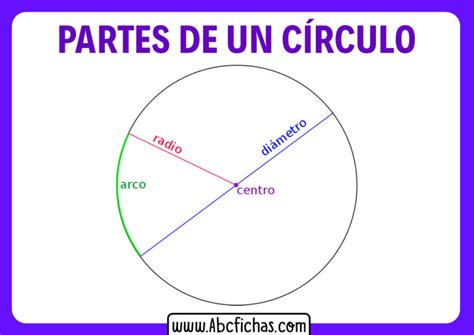 Partes Y Elementos De Un Circulo Abc Fichas