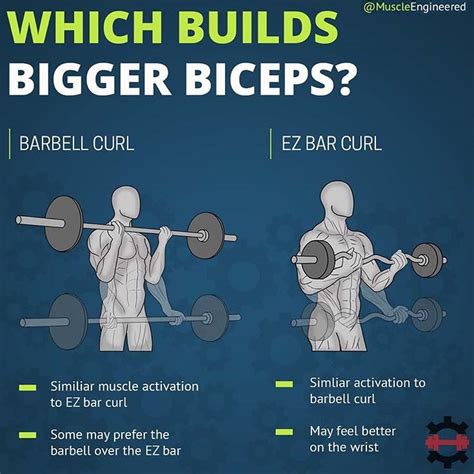 Which Builds Bigger Biceps