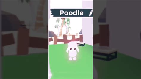 Neon Poodle Adopt Me Edit Youtube