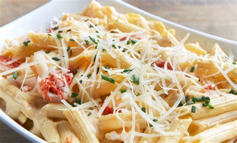 Everybody loves macaroni and cheese: Lobster Mac n Cheese: Richness and decadence in a bowl | Blog | Festival Foods