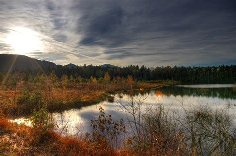 1920x1080 Resolution Body Of Water Near Tall Green Trees And Brown