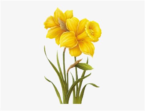 Lately we've been drawn to yellow throws, blankets, pillows (perhaps it's the. Image Du Blog Marybleue - Yellow Flower Drawing Png - Free ...
