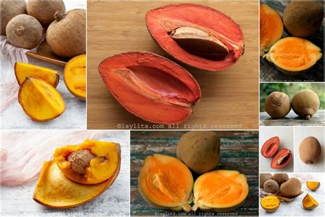 Mamey O Zapote Variedades Y Usos Laylita Com Recetas De Cocina