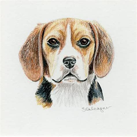 Beagle Dog Colored Pencil Drawing Handmade Products