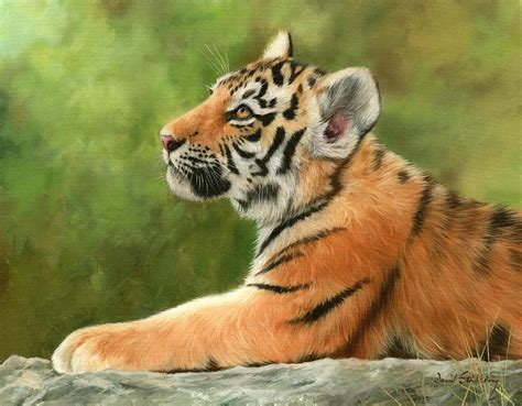 Tiger Cub Painting By David Stribbling Pixels