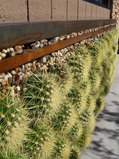 Taking your cacti plants outside can help them thrive. Pin by Nancy Pedersen on Succulent plants | Vertical ...