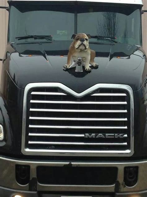 Bulldog On A Mack Truck Mack Trucks Big Trucks Dog Car Accessories