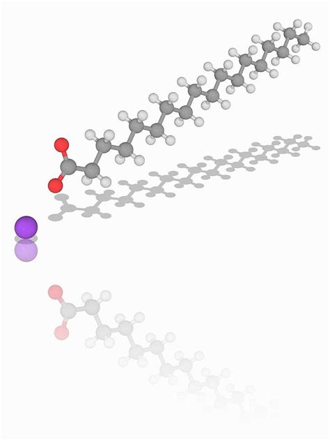 Orders over $45 & apo ship for free! Sodium Stearate Organic Compound Molecule Photograph by ...