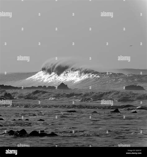 Large Rogue Wave Catching The Light On A Stormy Day On The Gower Black