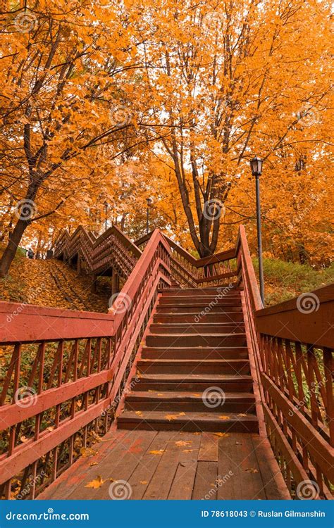Wooden Stairs With Leaves In The Autumn Forest Stock Image Image Of