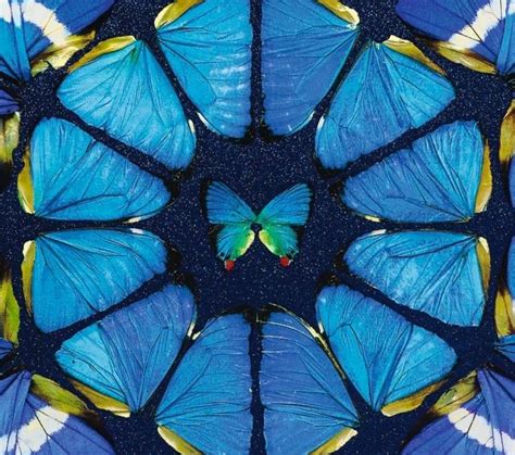 Damien Hirst Butterfly Square Blue Fine Art Etsy