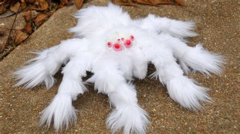 12 Most Strange Spiders In The World Australia Animals Scary Albino