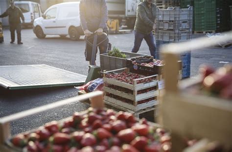 Who is sasa kalajdzic's girlfriend? Stark betroffen ist auch der Blumengroßmarkt ...